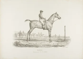 Constance, propriété de M. J.G. Schickler