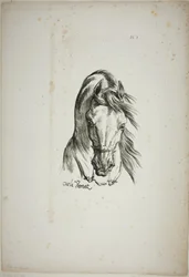 Détail de la tête de cheval, agrandie au triple, Garde royale normande, n° 1