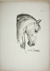Détail de la tête de cheval, agrandie au triple, Garde royale normande, n° 3