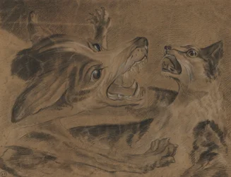 Animaux de combat