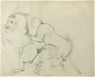 Deux Chevaux Jouant (recto); Homme sur un Cheval Ruant (verso)