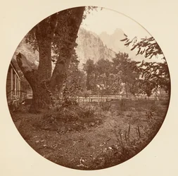 [Parc national de Yosemite, Californie], vers 1878