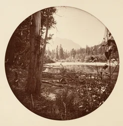 [Parc national de Yosemite, Californie], ca. 1878