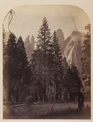 Flèches de cathédrale - Yosemite