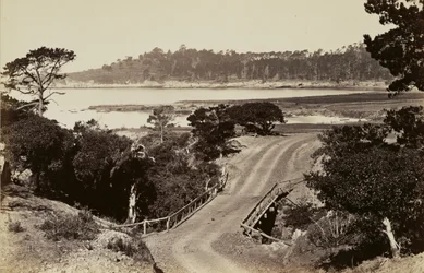 [Vue de la côte près de Monterey]