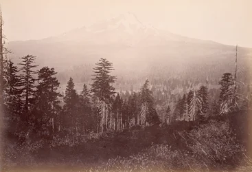 Mont Shasta