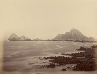 Seal Point depuis l