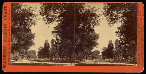 Vue de rue bordée d