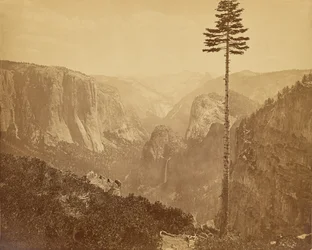 Vallée de Yosemite depuis le sentier de Mariposa