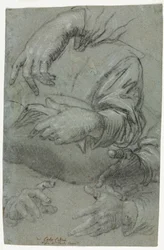Études de mains (recto)