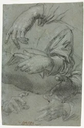 Études de mains recto, vers 1586