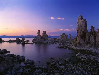 Lac Mono, 2013