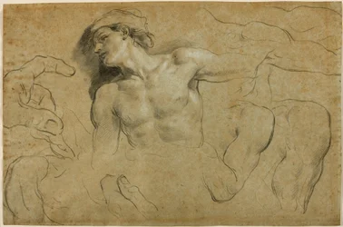 Études de mains, épaules et une jambe