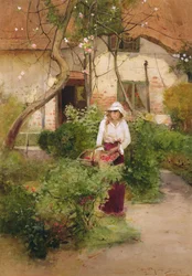 Le jardin de grand-mère