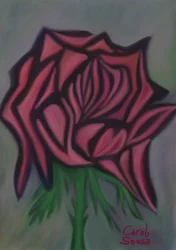 Rose moderniste