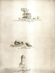 Arbre, tombe de dunkerque et tour