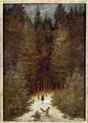 Chasseur dans la forêt