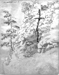 Pente rocheuse avec arbres