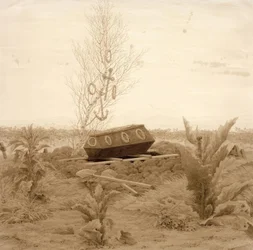 Cercueil sur une tombe fraîche