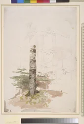 Étude de l
