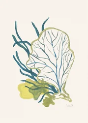 Résumé : Botanique marine