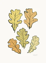 Feuilles de chêne d