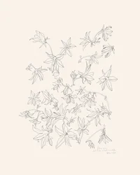 Étude botanique des fleurs