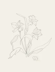 Illustrations florales élégantes au trait