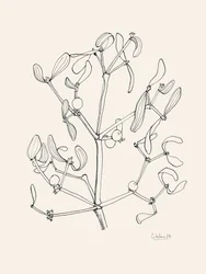 Dessin au trait « Guirlande de gui » pour les fêtes