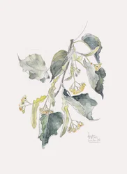 Aquarelle de la succursale de Linden