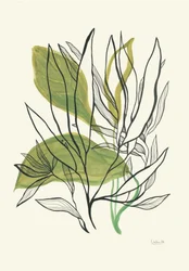 Feuilles botaniques modernes
