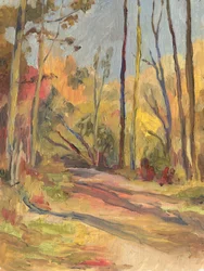 Sentier paisible d