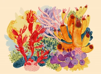 Un récif de corail aux couleurs éclatantes