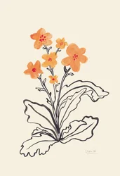 Fleurs orange vif