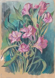 Fleurs rose vif