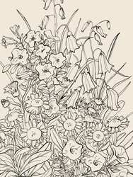 Fleurs sauvages du jardin