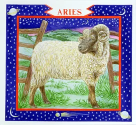 Bélier