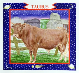 Taureau