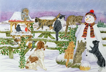 Le Bonhomme de neige et ses amis