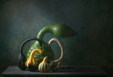 Nature morte aux courges d