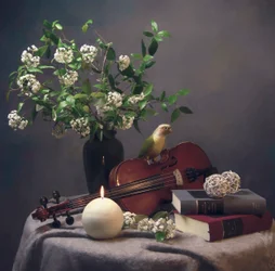 Nature morte d