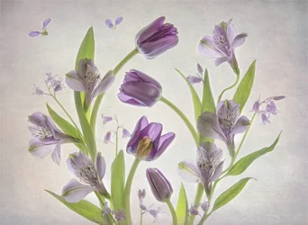 Fleurs violettes délicates