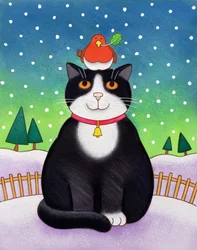 Chat avec rouge-gorge