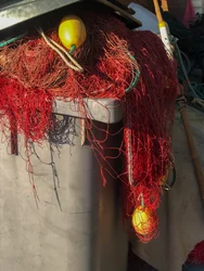 Composition - Nets, 2019 (photo)