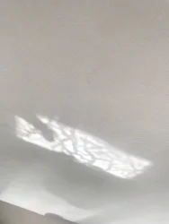Composition - Réflexions, 2019 (photo)