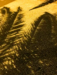 Composition - Ombres, 2021