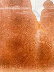Composition - Texture, 2023 (photo)