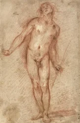 Homme nu debout, 1637-38