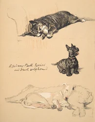Aberdeens, Bull-Terrier et Irish Wolfhound, 1930, Illustrations de son carnet de croquis utilisées pour Just Among Friends, publié par Eyre et Spottiswoode Limited
