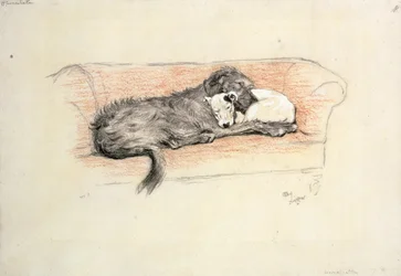 Réconciliation; Lévrier irlandais et Bull Terrier endormis sur un canapé